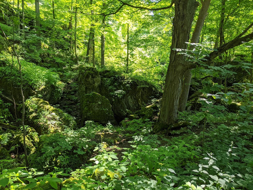 Cave Springs Conservation Area | 3949 Cave Spring Rd, Campden, ON L0R 1G0, Canada | Phone: (905) 788-3135