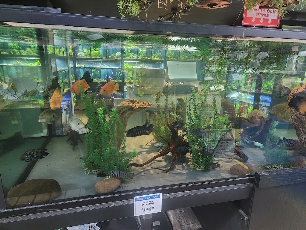 The Reef Aquarium Shop | 5613 N Keystone Ave, Indianapolis, IN 46220 | Phone: (317) 253-9695