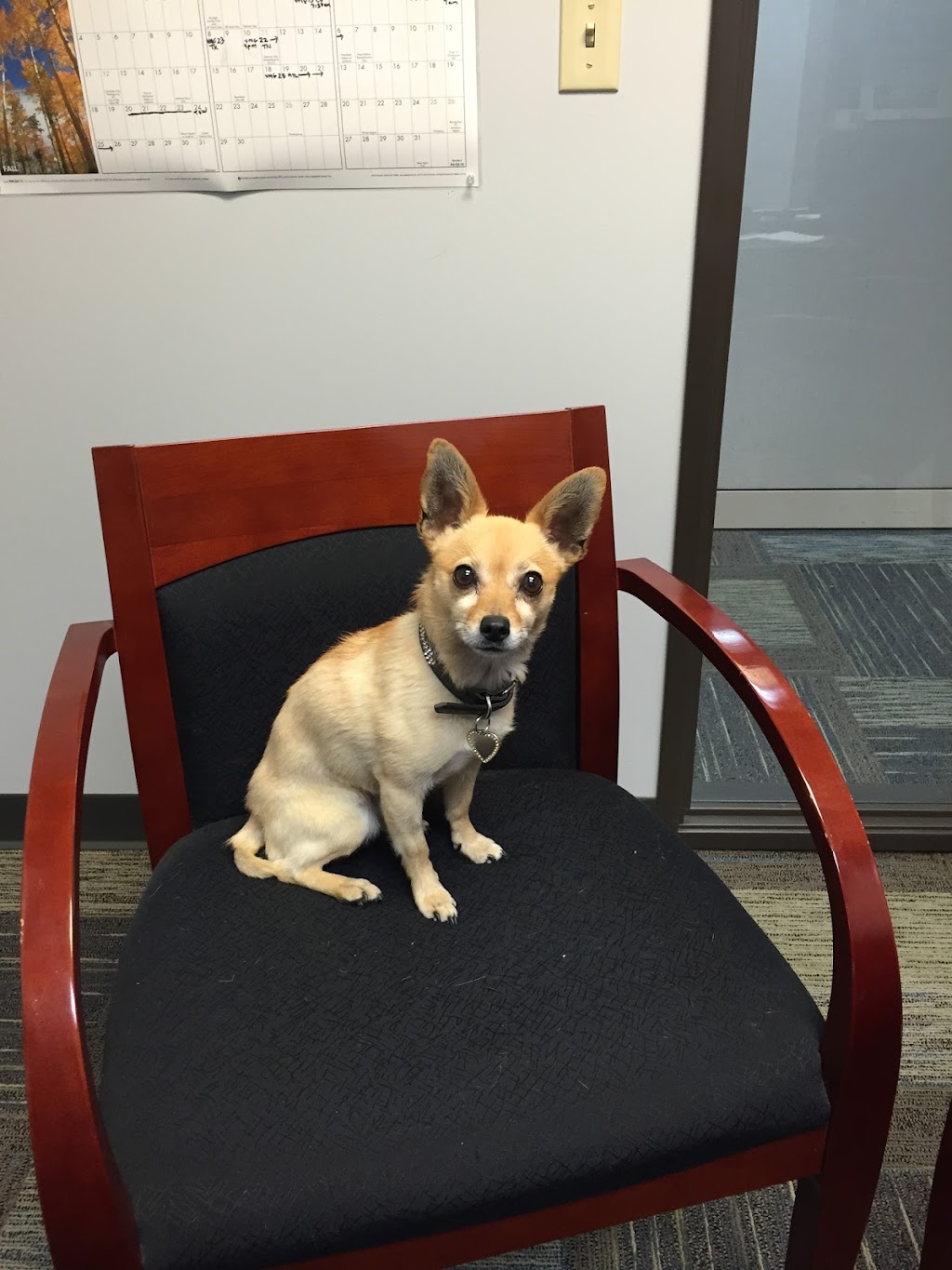 Vetsource | 9500 NE Cascades Pkwy, Portland, OR 97220, USA | Phone: (503) 802-7400