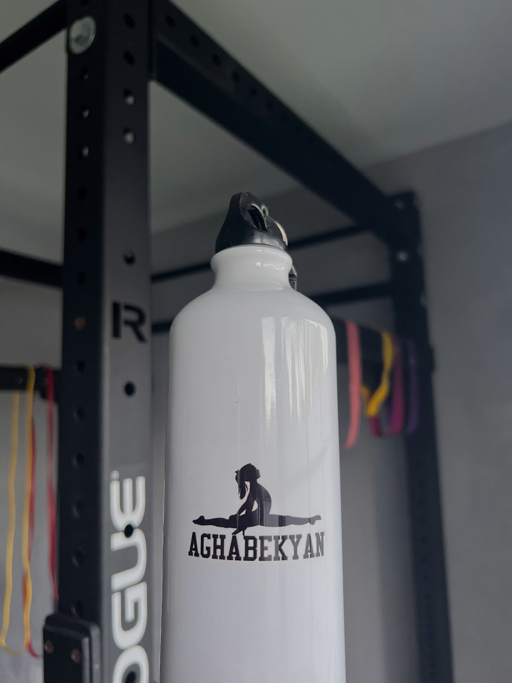 Aghabekyan Fitness | 15540 Marilla St, North Hills, CA 91343, USA | Phone: (352) 328-2045