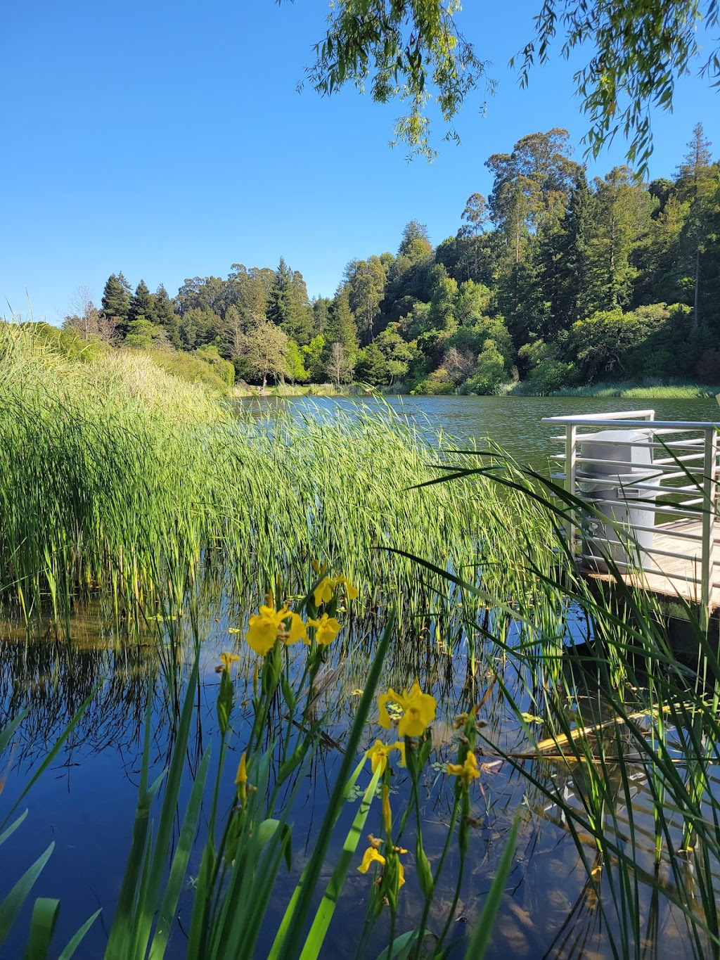 Temescal Beach House | Temescal Regional Recreation Area, 6500 Broadway, Oakland, CA 94618, USA | Phone: (510) 544-3164