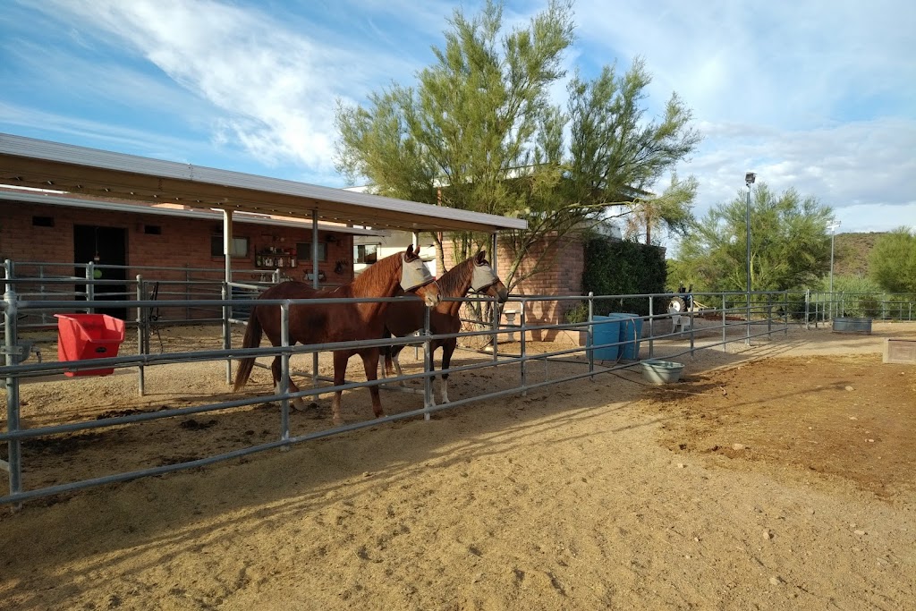 Rocking M Ranch | 6265 Happy Trail, Tucson, AZ 85743, USA | Phone: (520) 744-2457