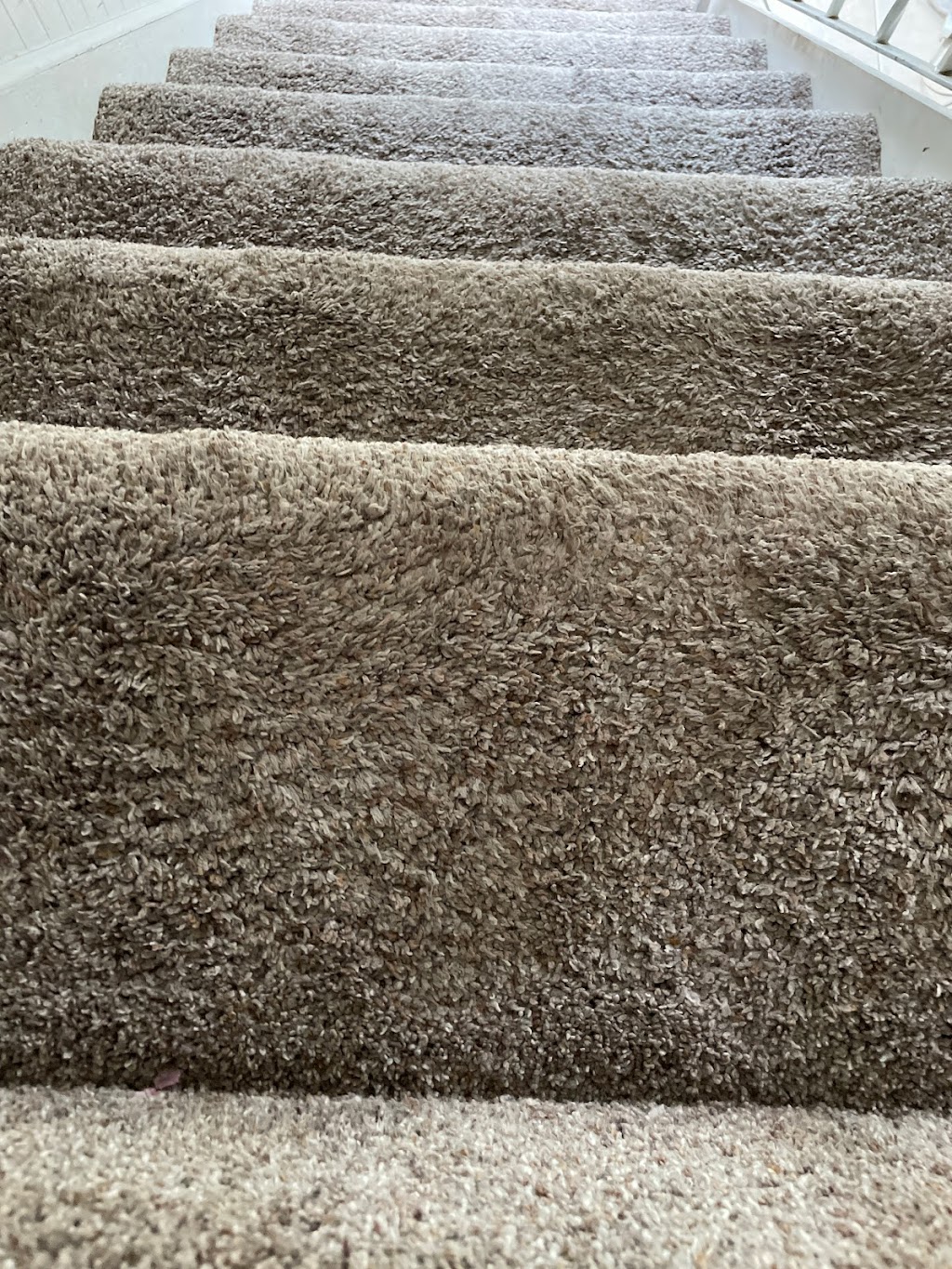 Filthy 2 Clean Steam Team Carpet/Upholstery/Tile Floor Cleaning | Kennedy Ave, Highland, IN 46322, USA | Phone: (844) 434-5849