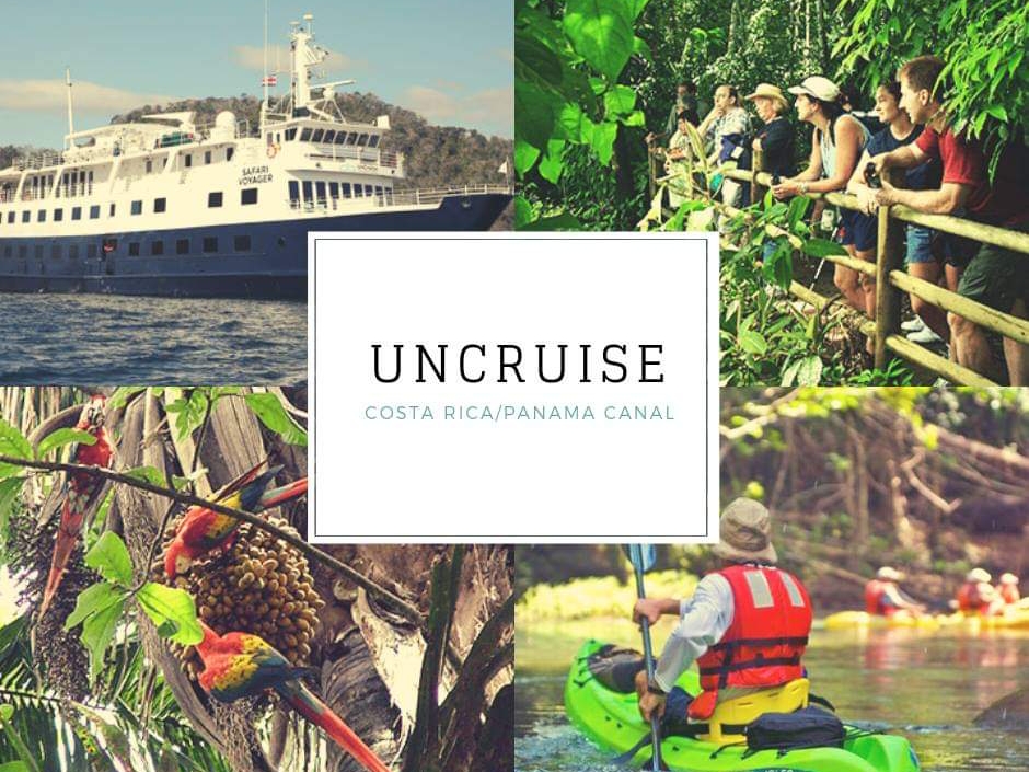 Travels by Tina | 429 Lamont District Rd, Cobleskill, NY 12043, USA | Phone: (518) 657-9382