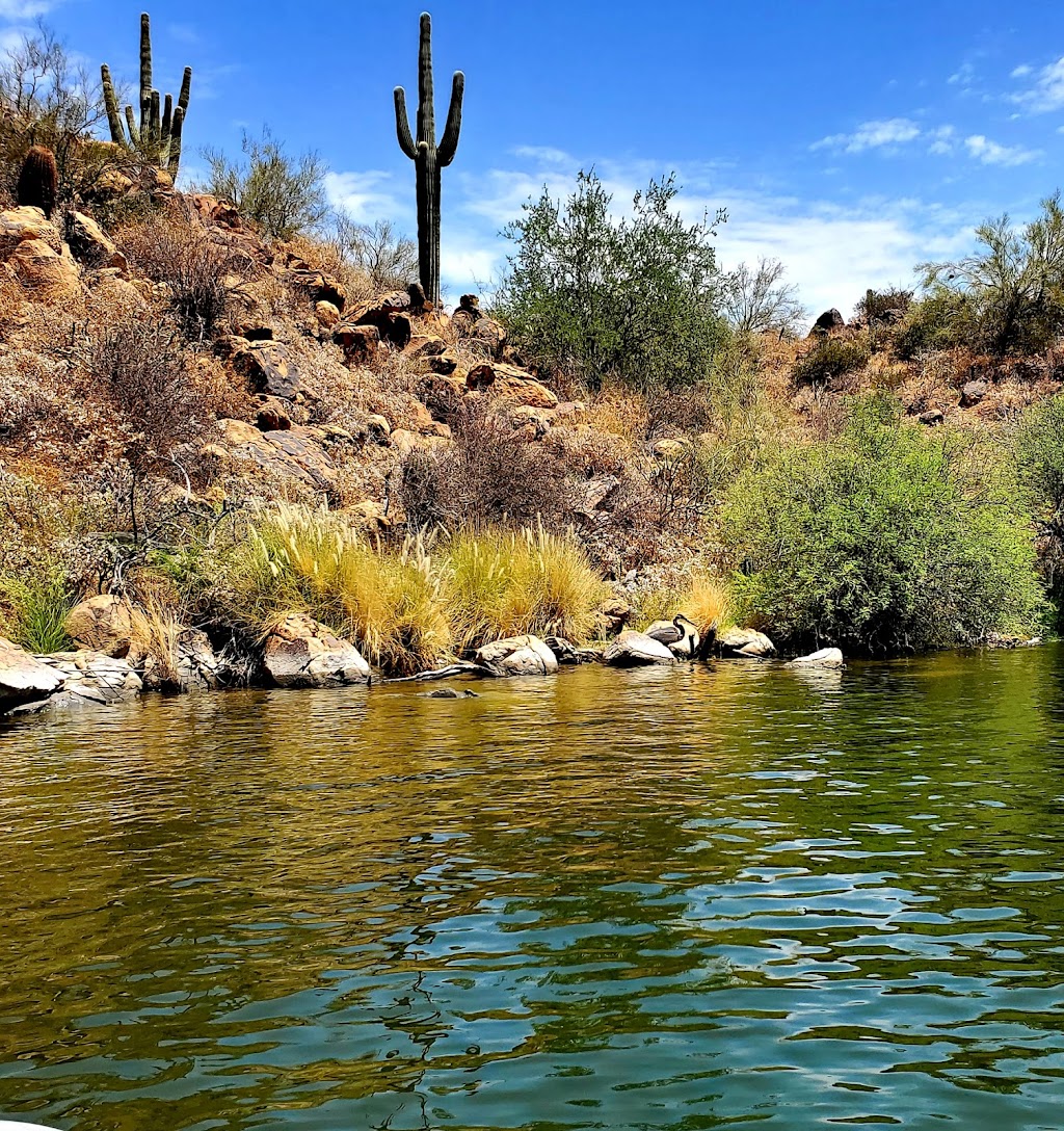 Bartlett Lake Marina | 20808 E Bartlett Dam Rd, Rio Verde, AZ 85263, USA | Phone: (480) 221-0503