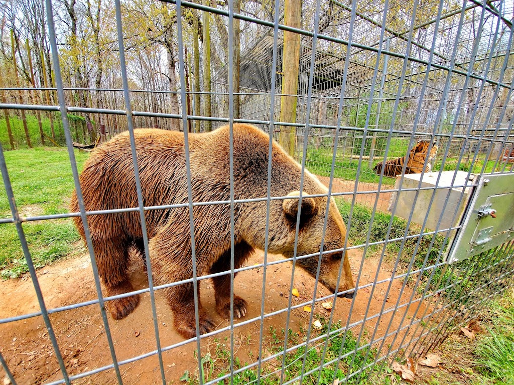 Noahs Ark Animal Sanctuary | 712 L G Griffin Rd, Locust Grove, GA 30248, USA | Phone: (770) 957-0888