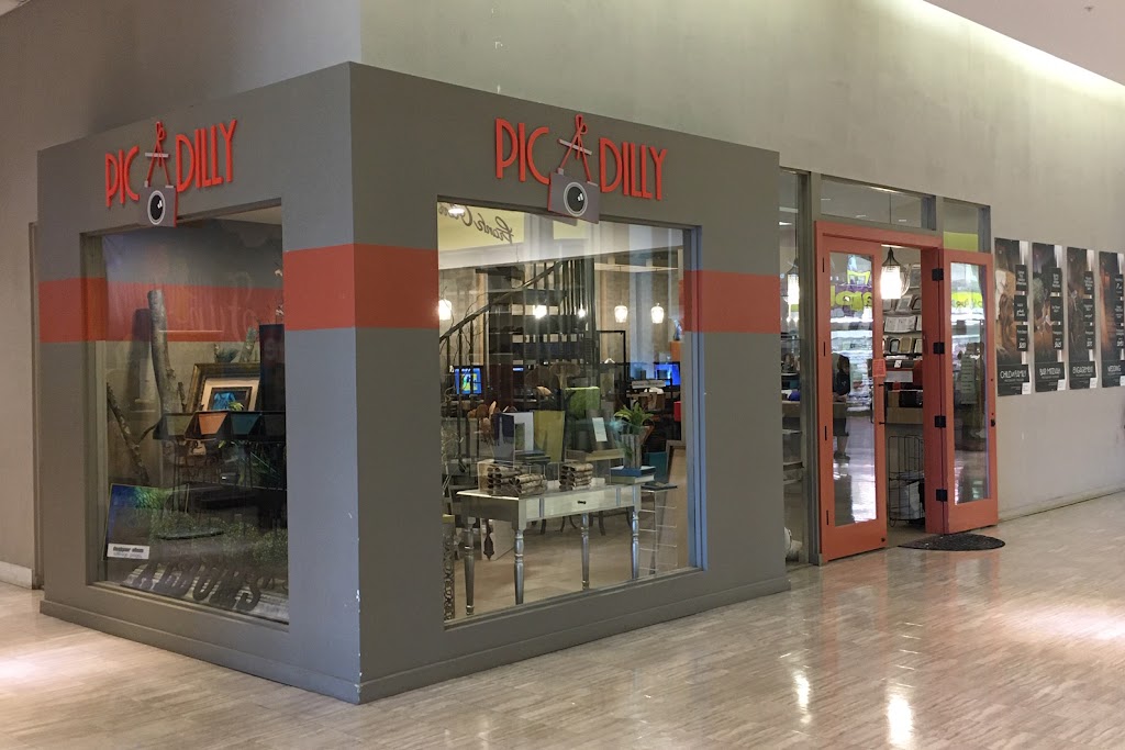 Picadilly Photo | 59 NY-59 #157, Monsey, NY 10952, USA | Phone: (845) 573-0100