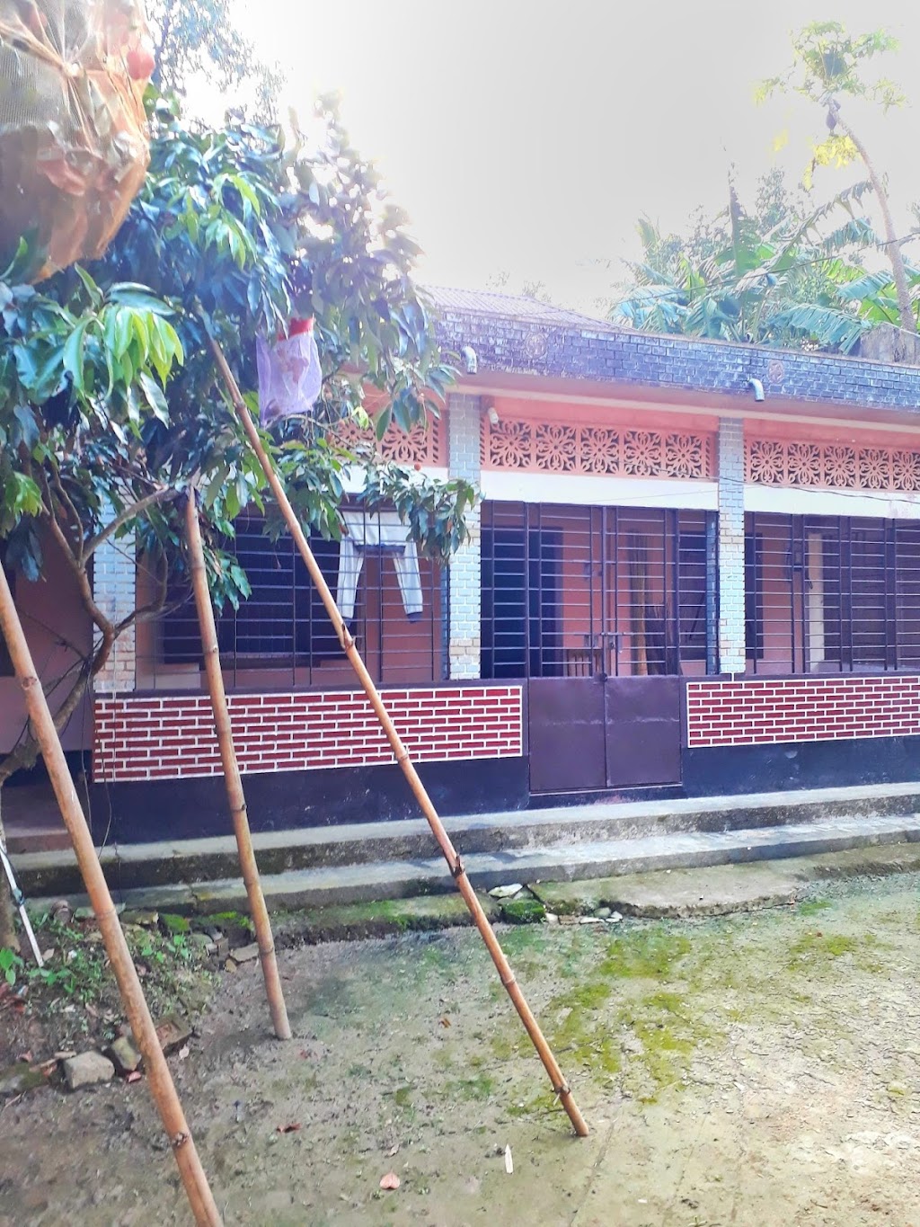 Premium Sweets & Cafe | 11357 Conant, Hamtramck, MI 48212, USA | Phone: (313) 707-0986