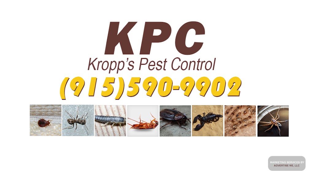 Kropps Pest Control | 11426 Rojas Dr STE A11, El Paso, TX 79936, USA | Phone: (915) 590-9902