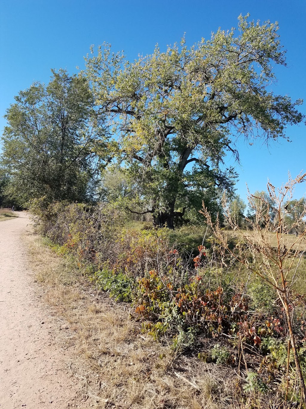 Fountain Creek Nature Center | 320 Peppergrass Ln, Fountain, CO 80817, USA | Phone: (719) 520-6745