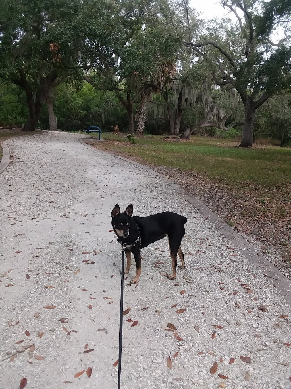 Bayview Park | 3035 Gulf to Bay Blvd, Clearwater, FL 33759, USA | Phone: (727) 562-4800