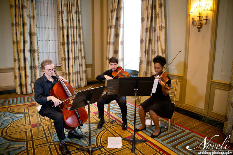 Upstate Strings Trio | 13212 Winter Hazel Rd, Charlotte, NC 28278, USA | Phone: (864) 561-8995