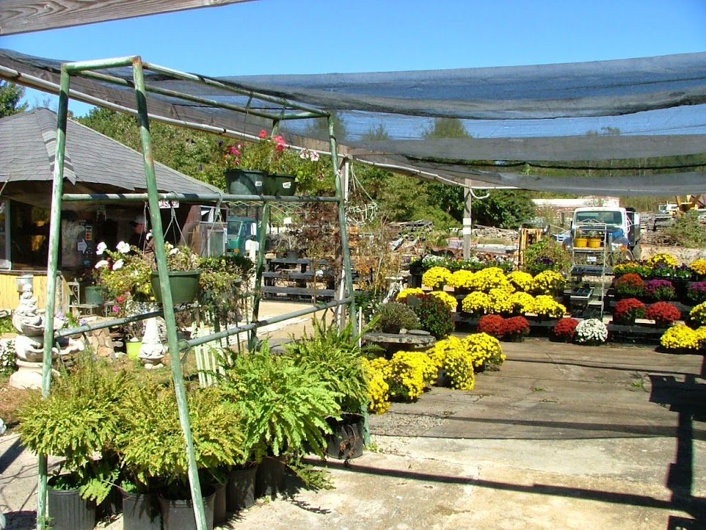 Giarolis Nursery & Landscaping | 6000 Summer Ave, Memphis, TN 38134, USA | Phone: (901) 382-5402