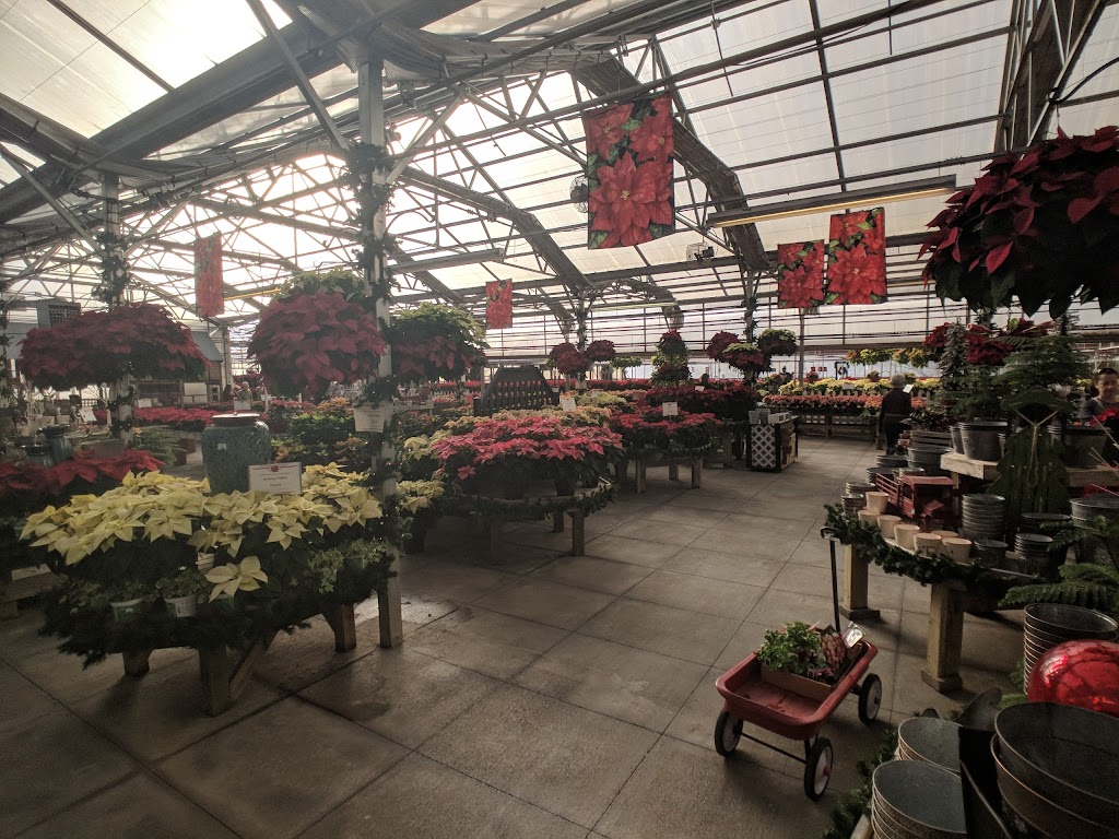 Homewood Nursery & Garden Center | 10809 Honeycutt Rd, Raleigh, NC 27614, USA | Phone: (919) 847-0117