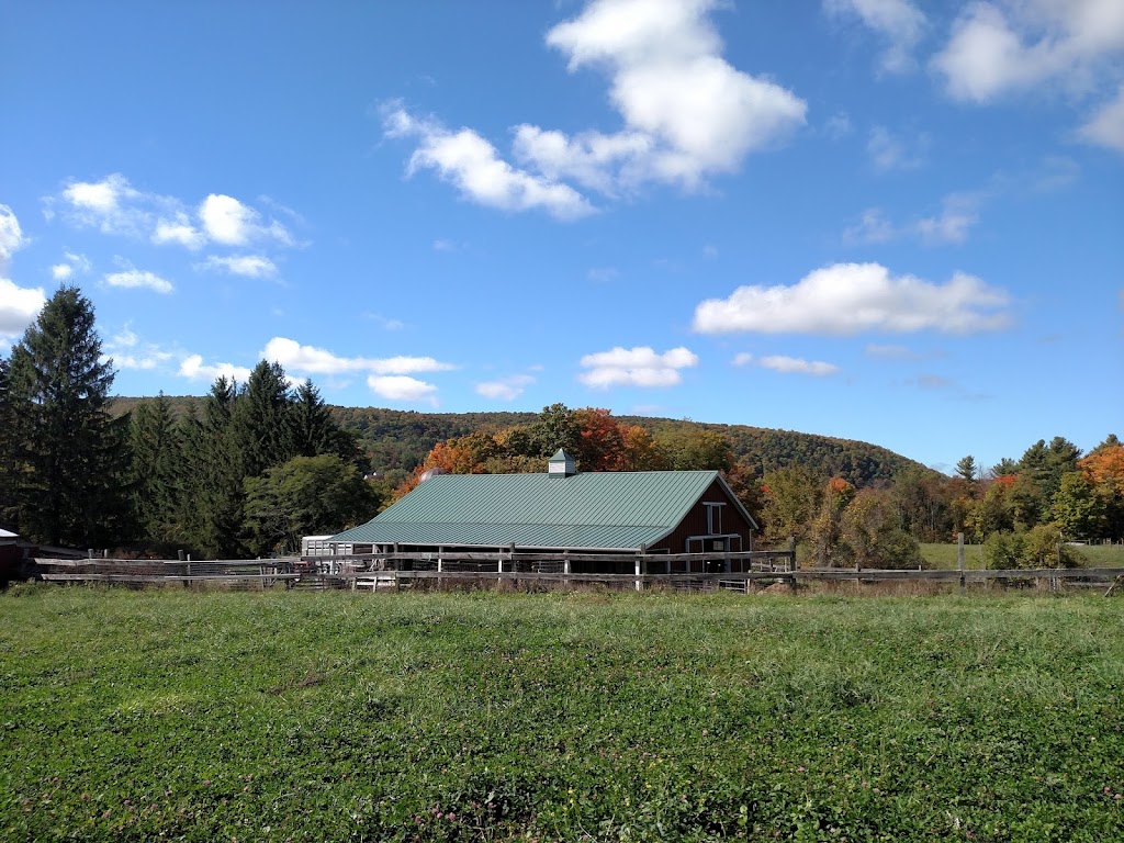 Helder~Herdwyck Farm | 450 Long Rd, East Berne, NY 12059, USA | Phone: (518) 872-9081