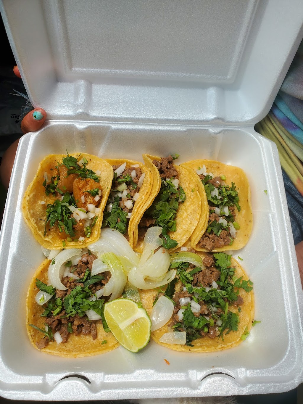 Taqueria Delicias | E Saner Ave, Dallas, TX 75216, USA | Phone: (214) 605-6698