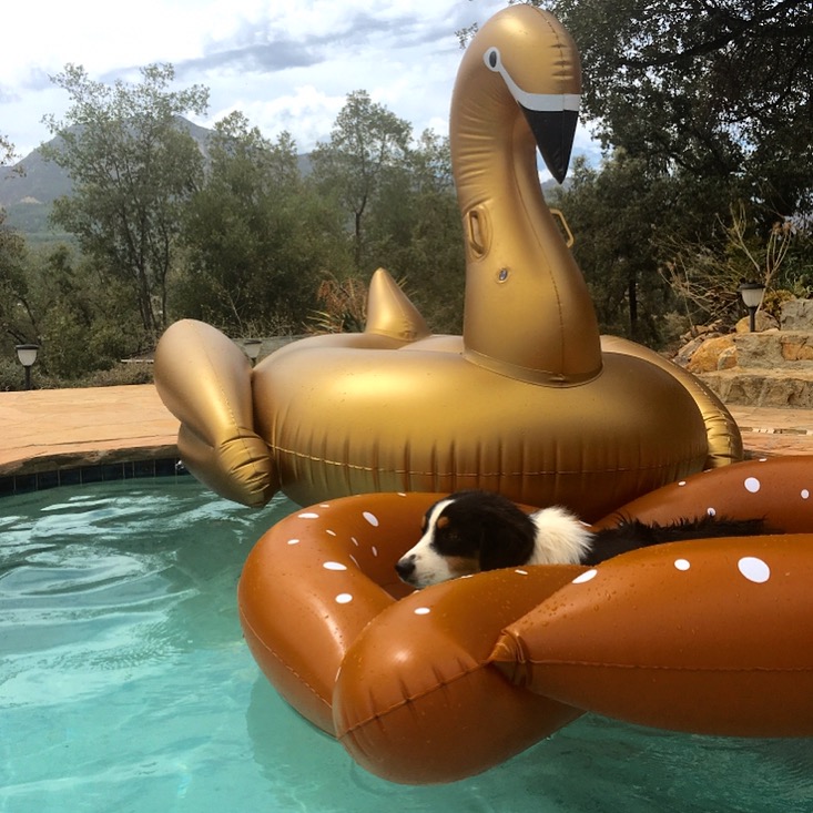 Adolfo and Manny Pool Supplies | 1506 S Mission Rd, Fallbrook, CA 92028, USA | Phone: (760) 728-2621