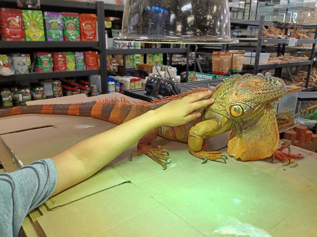 Reptile Island 3 | 7157 Katella Ave, Stanton, CA 90680, USA | Phone: (714) 761-1230