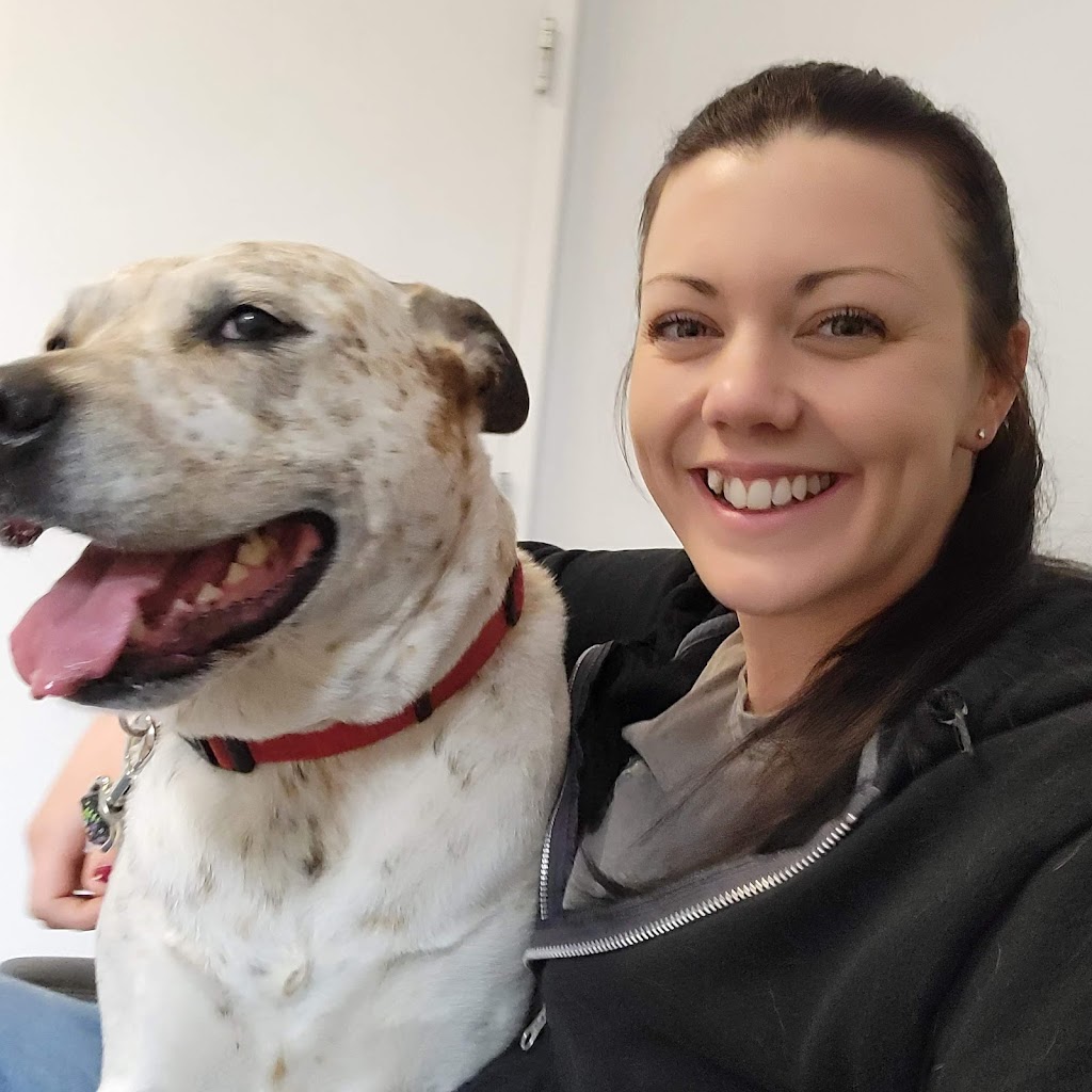 Eastern Shore Animal Hospital | 6421 Caratoke Hwy, Grandy, NC 27939, USA | Phone: (252) 453-8200