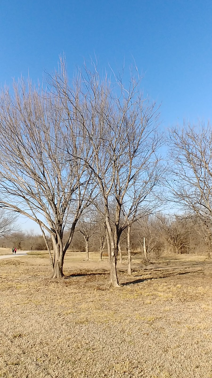 Cimarron Park | 201 Red River Trail, Irving, TX 75063, USA | Phone: (972) 721-2501