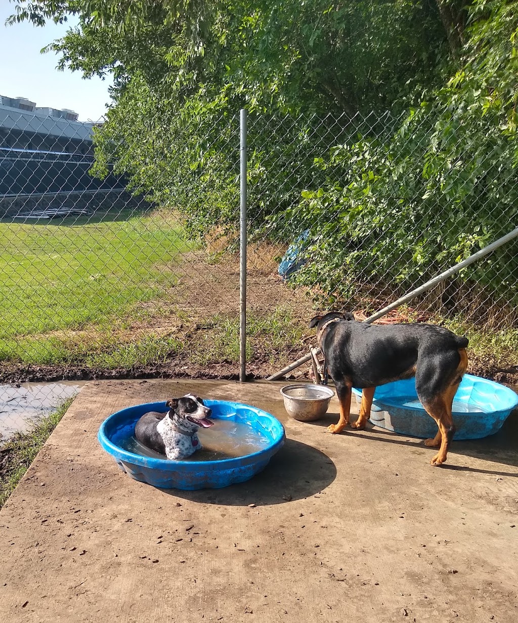 Tails N Trails Dog Park | 950 SE Green Oaks Blvd, Arlington, TX 76018, USA | Phone: (817) 459-5474