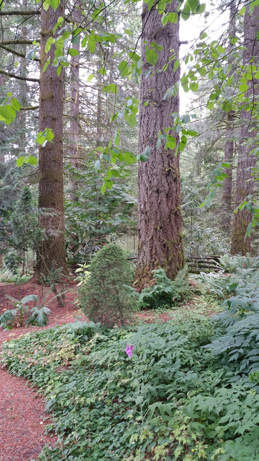 House of Whispering Firs | 20080 SW Jaquith Rd, Newberg, OR 97132, USA | Phone: (503) 628-3695