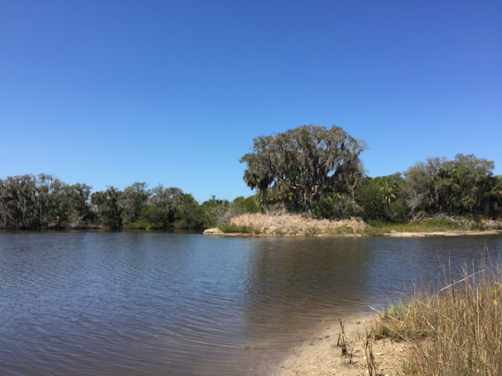 Tampa Bay Estuarine Ecosystem Rock Ponds Area | 100 8th Ave SE, St. Petersburg, FL 33701, USA | Phone: (727) 893-2765