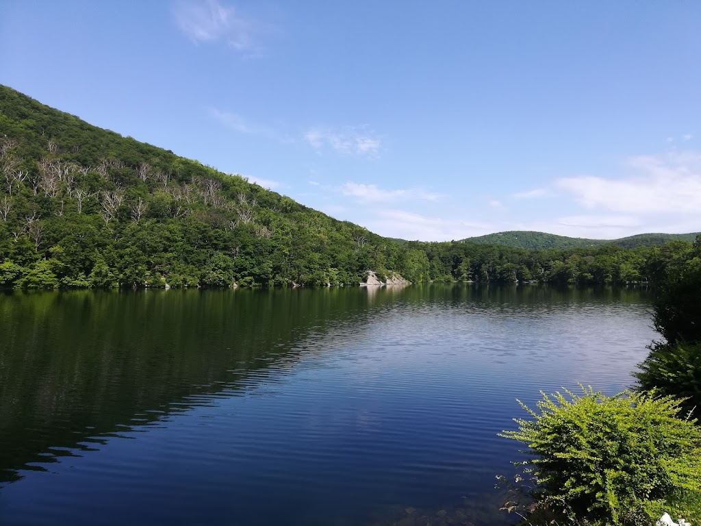 Bear Mountain Picnic Area | 983 Rte 9W, Stony Point, NY 10986, USA | Phone: (845) 786-2701