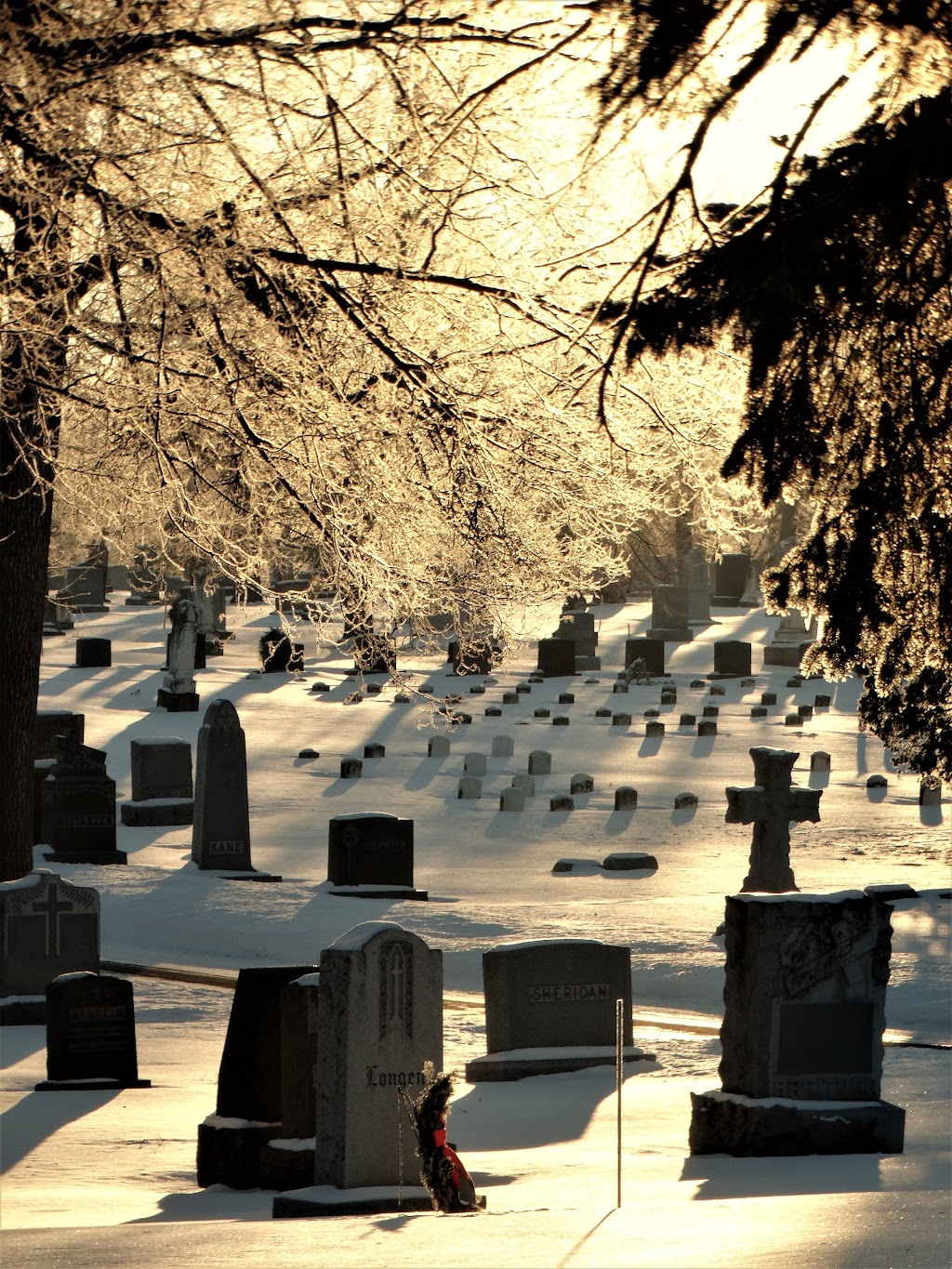 St. Marys Cemetery | 4403 Chicago Ave, Minneapolis, MN 55407, United States | Phone: (651) 488-8866