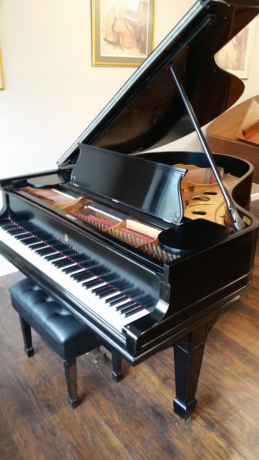 White Plains Piano & Organ Company | 1230 Pleasantville Rd, Briarcliff Manor, NY 10510, USA | Phone: (914) 761-7200