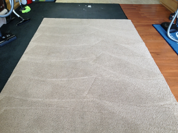 Carpet Cleaning Frisco TX | 9410 Dallas Pkwy, Frisco, TX 75033, USA | Phone: (469) 224-0353