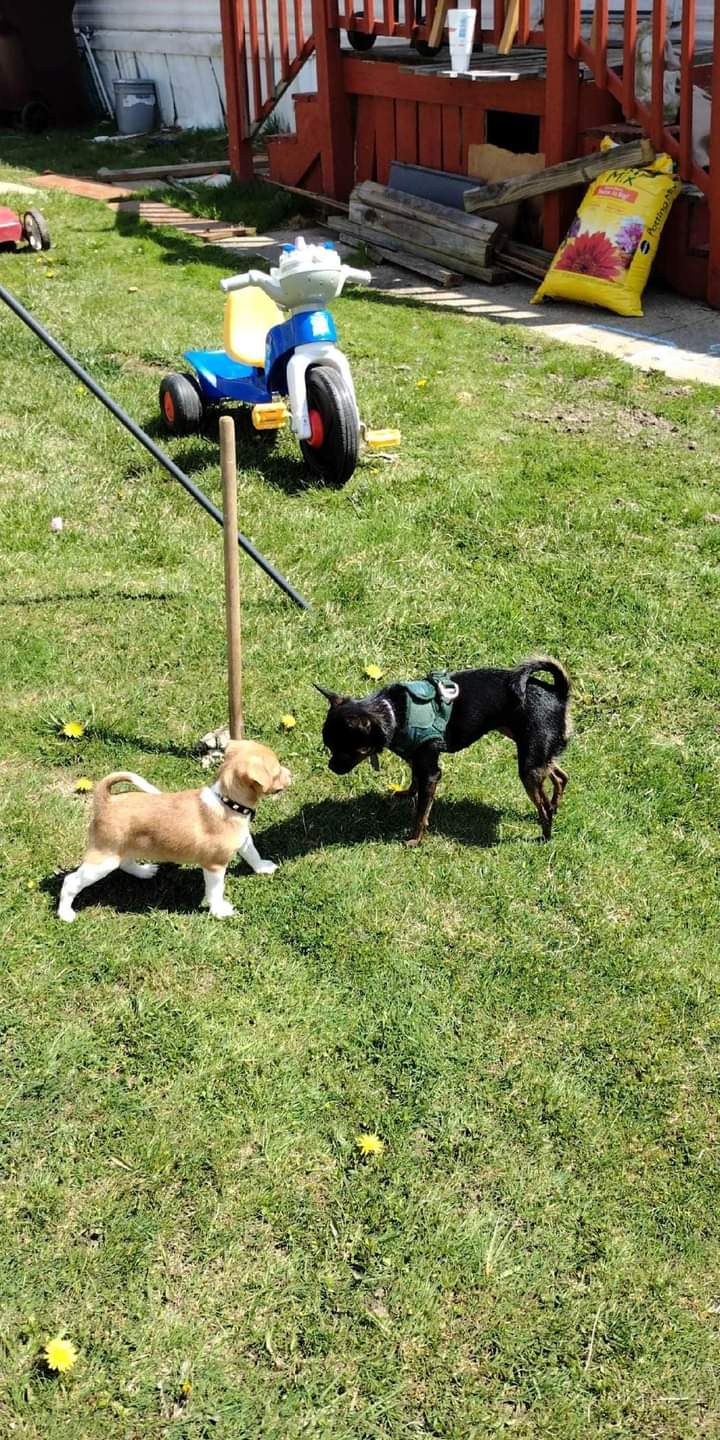 Ravinia Anchor Bay | 5407 Aloha Ln, Casco, MI 48064, USA | Phone: (586) 749-5169