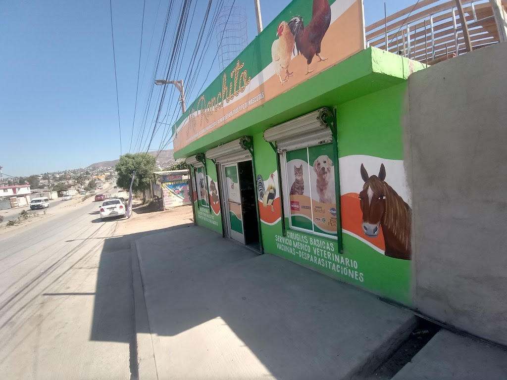 Barn and veterinary "MI RANCHITO" | P.º de Las Lomas 8850, Terrazas del Valle, 22246 Tijuana, B.C., Mexico | Phone: 664 296 2431