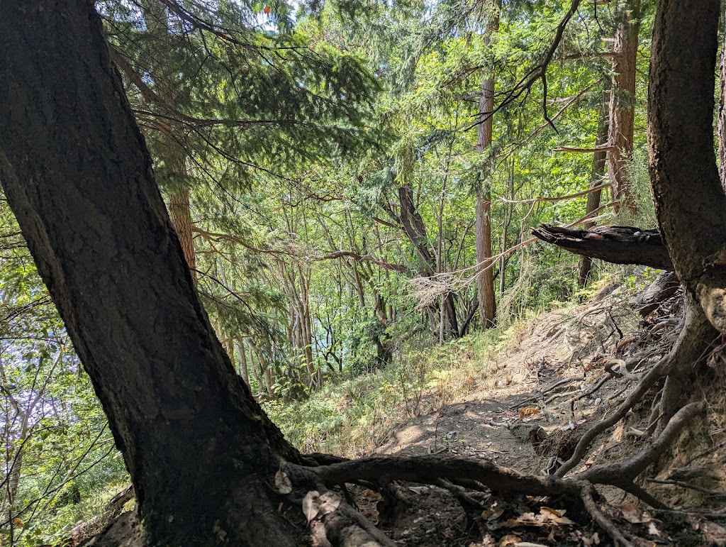 Point Defiance Dog Park | Five mile Rd, Tacoma, WA 98407, USA | Phone: (253) 305-1024