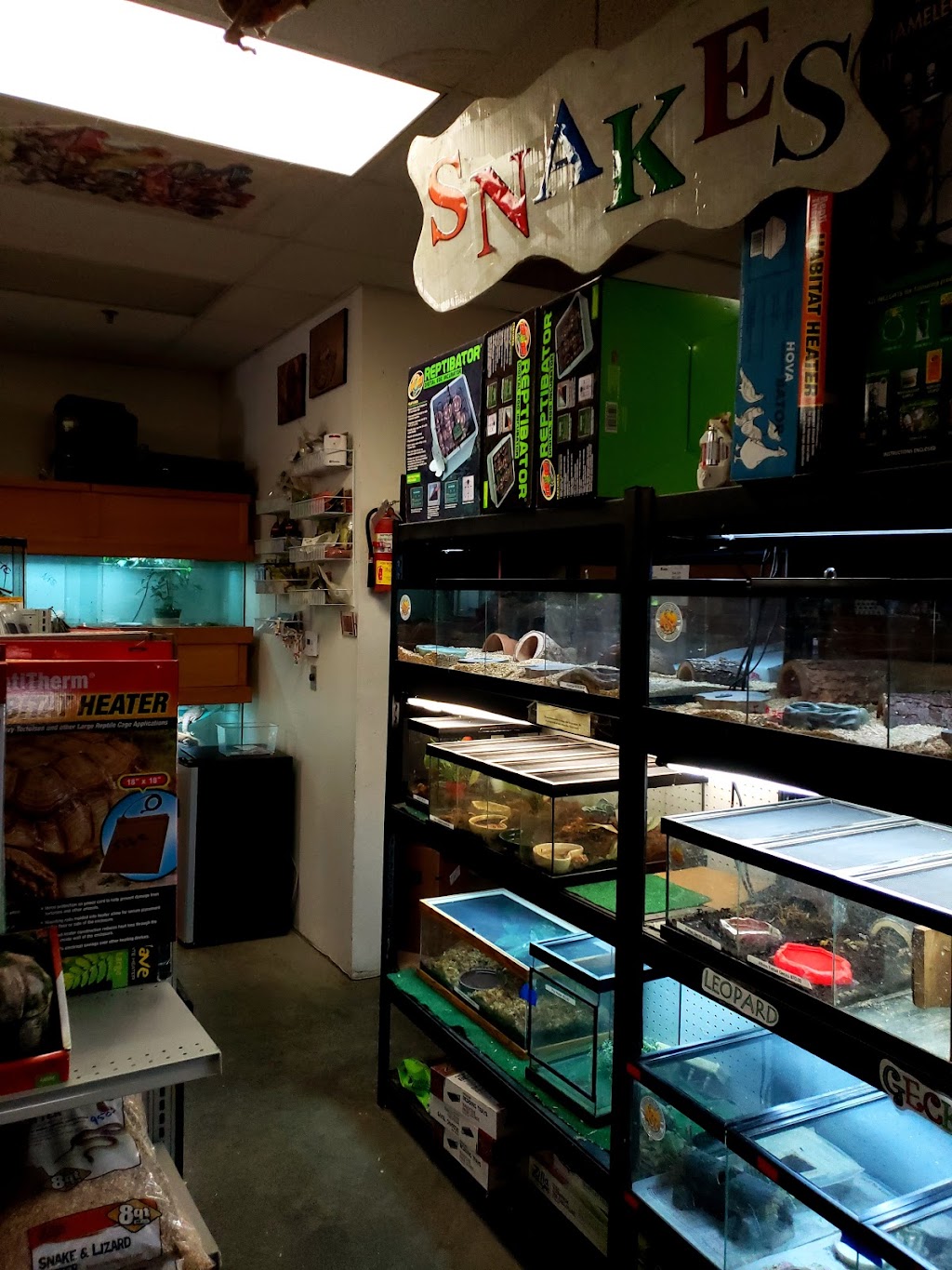 The Reptile Den | 31796 Casino Dr, Lake Elsinore, CA 92530, USA | Phone: (951) 471-0791