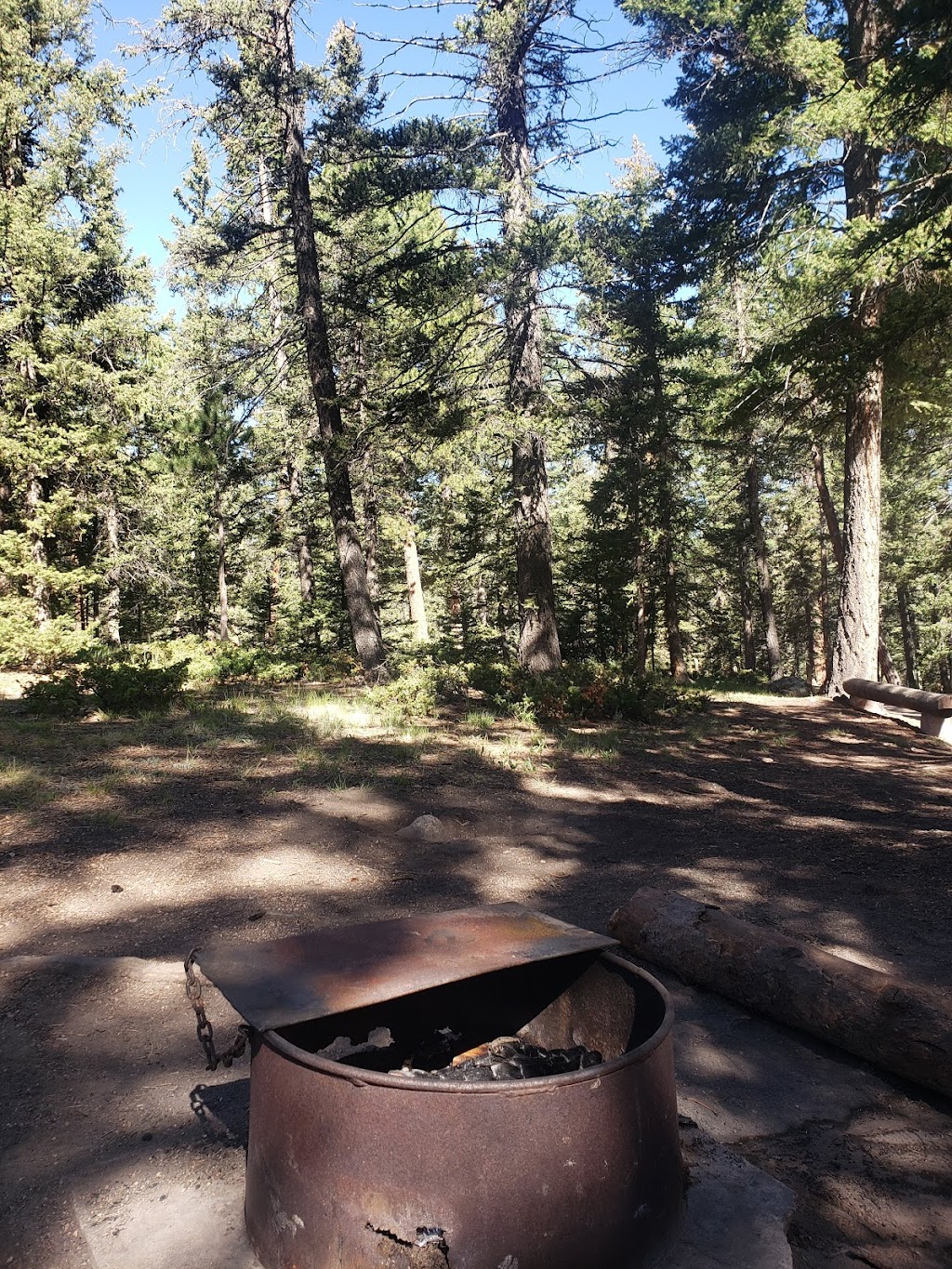 Springdale Campground | Rampart Range Rd, Woodland Park, CO 80863 | Phone: (719) 553-1400