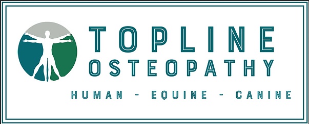 Topline Osteopathy | 41 Aylesham Way, Yateley GU46 6NS, United Kingdom | Phone: 07916783294