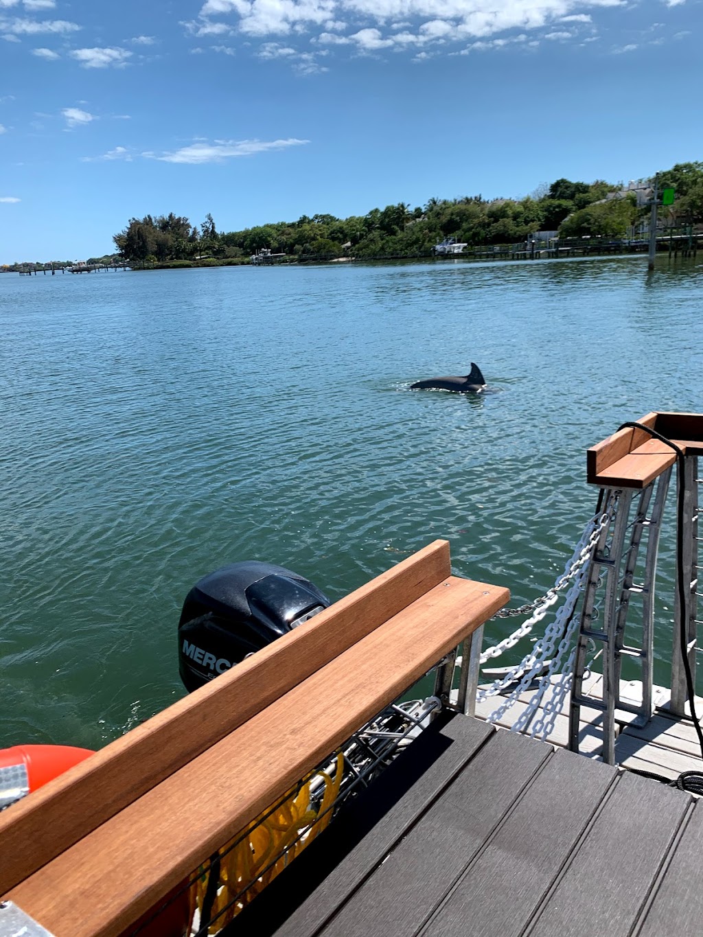 Low Tide Tours Tiki Boat | 8865 Midnight Pass Rd, Sarasota, FL 34242, USA | Phone: (941) 405-0045