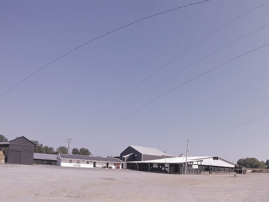 Kentucky Tennessee Livestock Market, Inc. | 9169 Russellville Rd, Guthrie, KY 42234, USA | Phone: (270) 483-2504