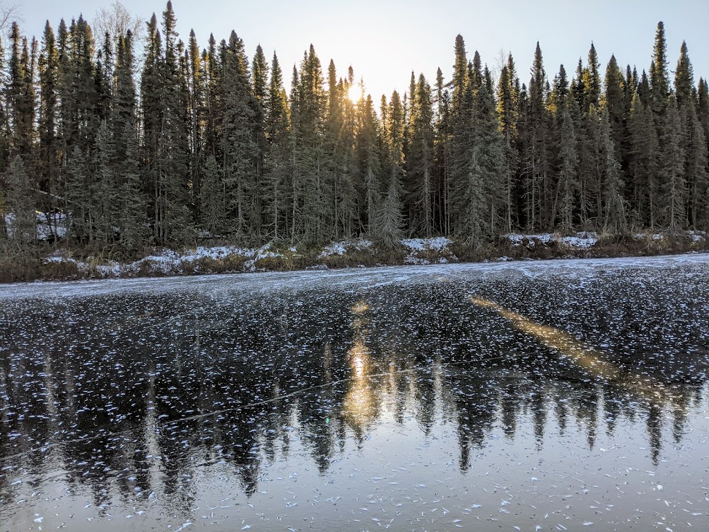 Nancy Lake State Recreation Area | Nancy Lake Pkwy, Willow, AK 99688, USA | Phone: (907) 745-3975