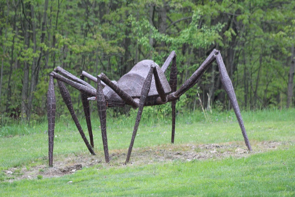 Griffis Sculpture Park | 6902 Mill Valley Rd, East Otto, NY 14729, USA | Phone: (716) 667-2808