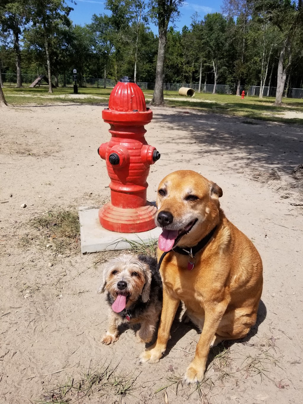 Friends of Raising Canes Camilla City Bark Park | 901 Howze Beach Rd, Slidell, LA 70458 | Phone: (985) 646-4371