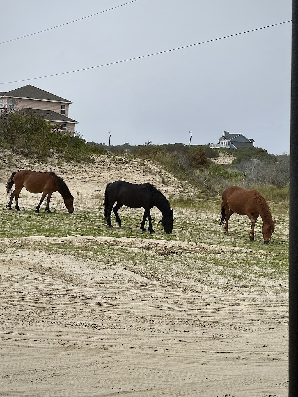 Humvee Adventure Tours | 610 Currituck Clubhouse Dr, Corolla, NC 27927, USA | Phone: (888) 293-3497