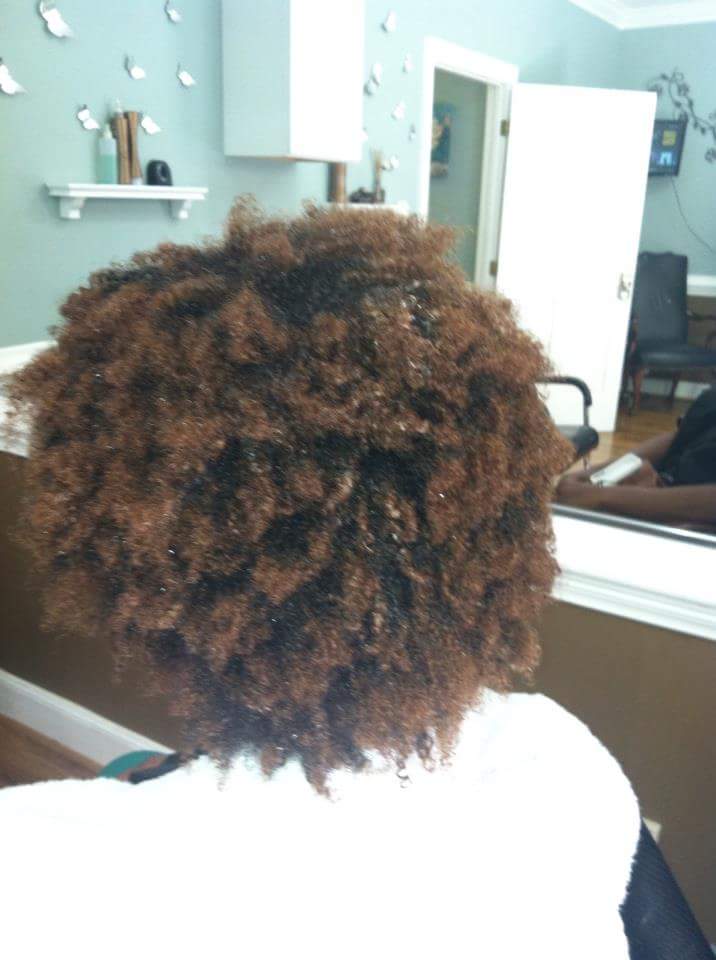 Nellys hair studio | 154 Wind Chime Ct, Raleigh, NC 27615, USA | Phone: (919) 673-3210