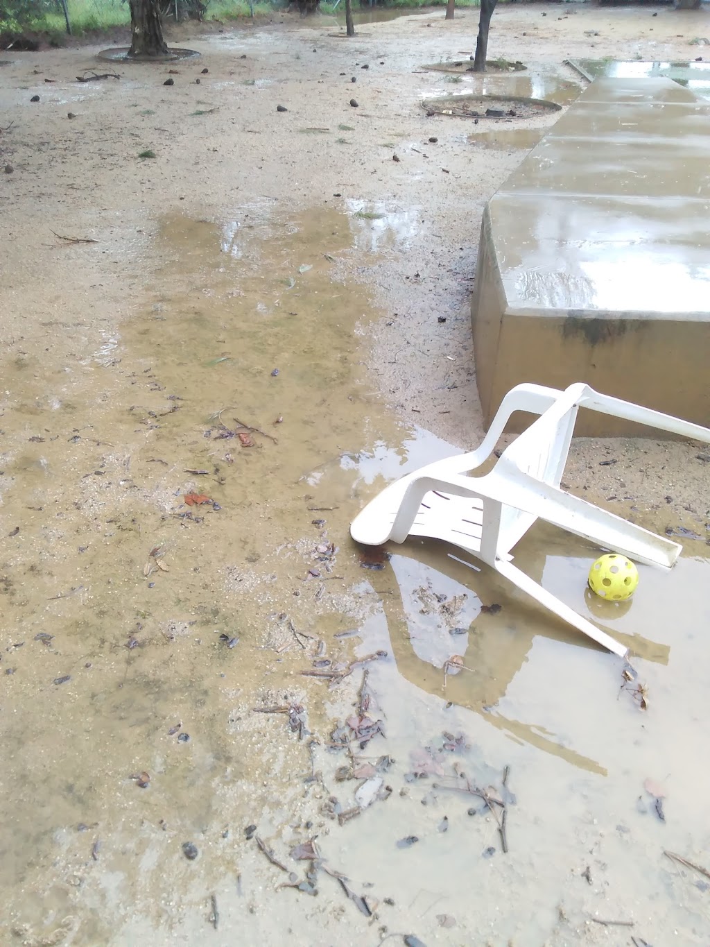 Miyuki Dog Park | San Jose, CA 95119, USA | Phone: (408) 535-3570