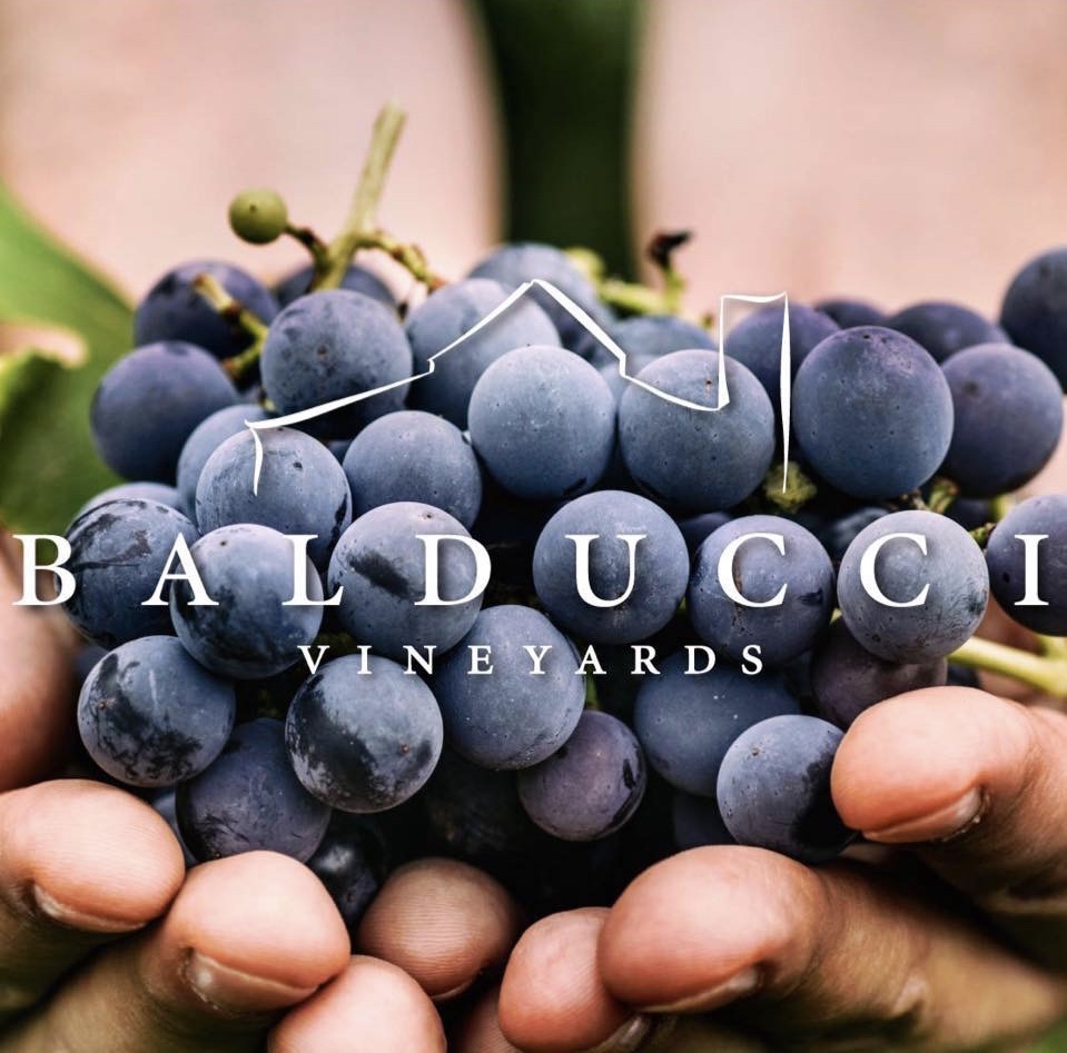 Balducci Vineyards | 6601 S Missouri 94, Augusta, MO 63332, USA | Phone: (636) 482-8466