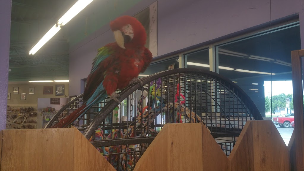 Varietees Exotic Bird Store | 60 Meramec Valley Plaza, Valley Park, MO 63088, USA | Phone: (636) 225-2473