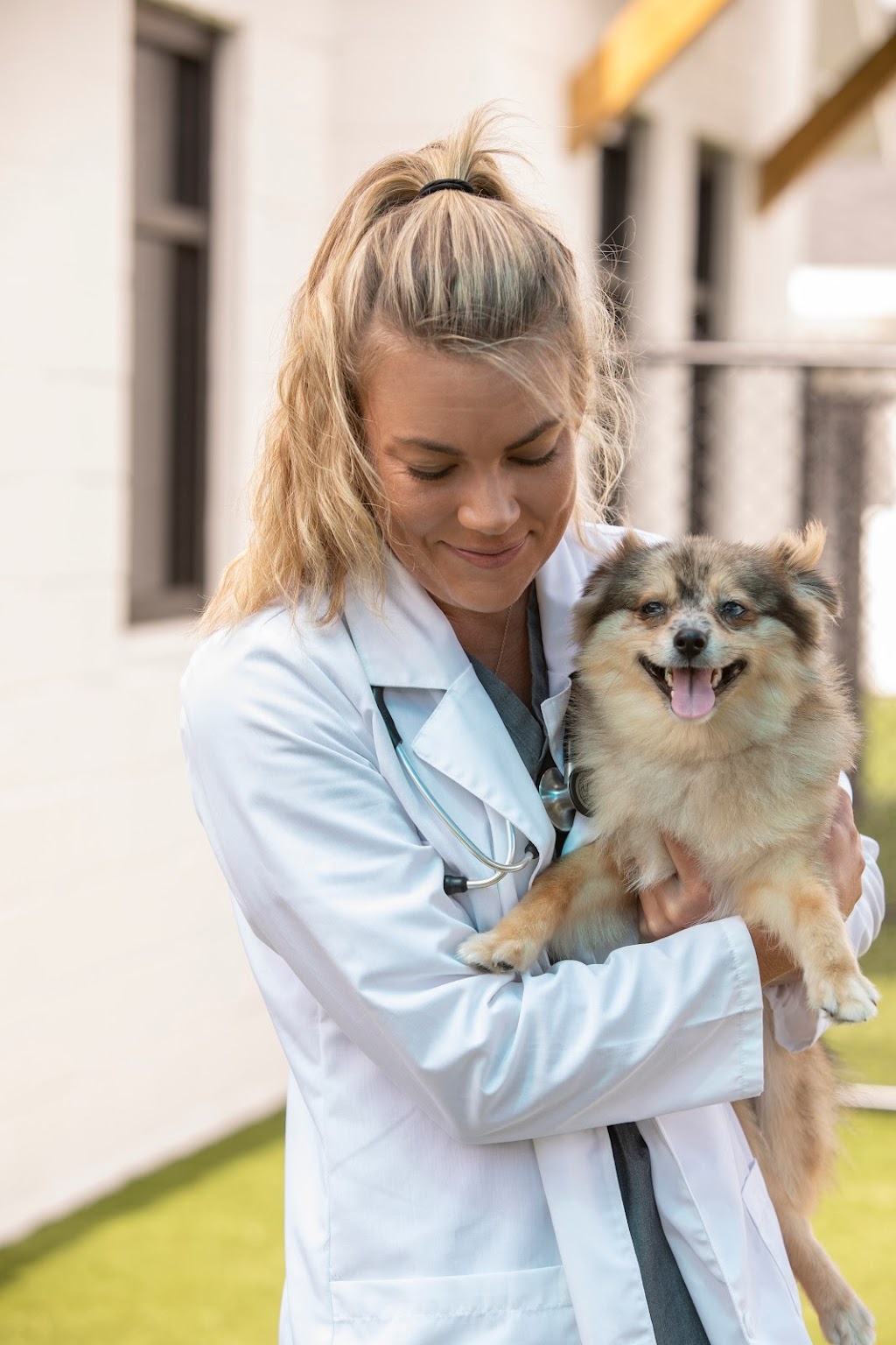 NewDay Veterinary Care | 10411 Portal Crossing, Bradenton, FL 34211, USA | Phone: (941) 209-1351