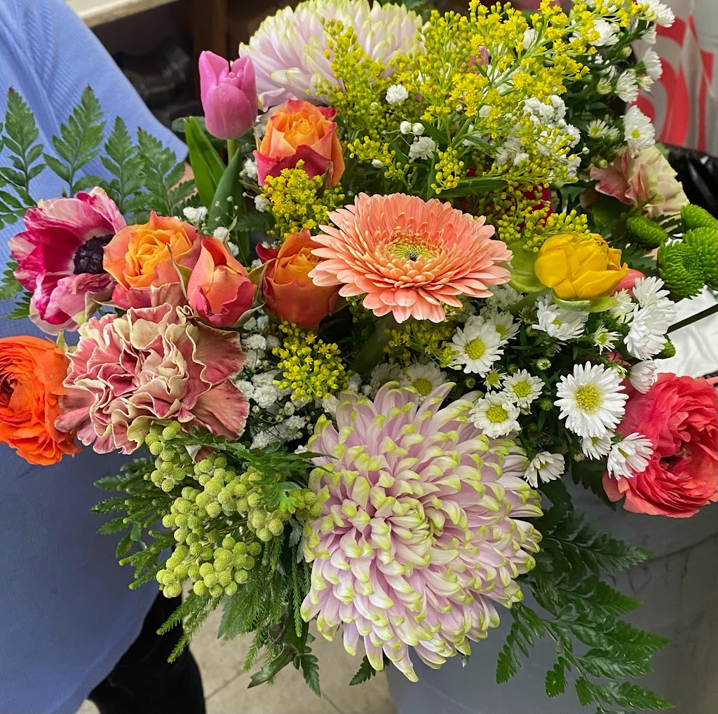 South City Gardens | 267 Nassau Blvd, Garden City, NY 11530, USA | Phone: (516) 486-6001