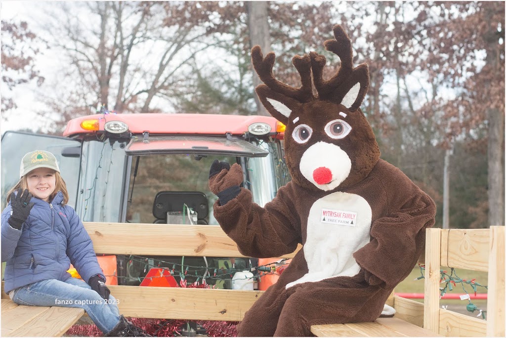 Mytrysak Family Tree Farm and Greenhouse | 1803 Fleming Rd, Indiana, PA 15701, USA | Phone: (724) 463-0570